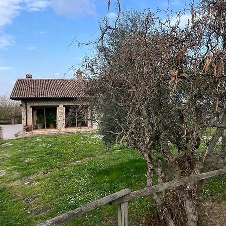 La Ca' Rivergaro Di Albasi Renzo Bicchignano