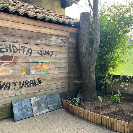 La Ca' Rivergaro Di Albasi Renzo * Bicchignano