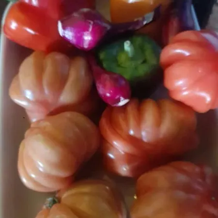 Κατάλυμα σε φάρμα La Ca' Rivergaro Di Albasi Renzo Bicchignano