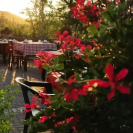 Alojamento de Turismo Rural La Ca' Rivergaro Di Albasi Renzo Bicchignano