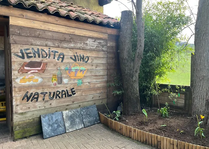 La Ca' Rivergaro Di Albasi Renzo * Bicchignano