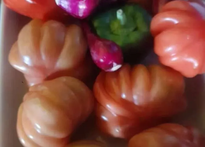 Çiftlik konaklama La Ca' Rivergaro Di Albasi Renzo Bicchignano