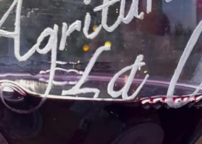 La Ca' Rivergaro Di Albasi Renzo * Bicchignano